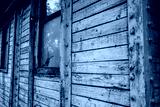 preview cold