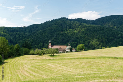 image to crop
