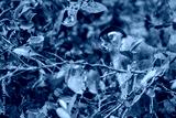 preview cold