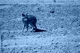 preview cold