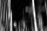 preview bw