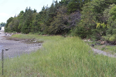 image to crop