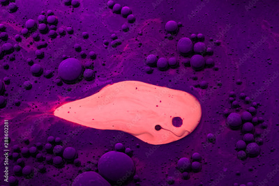 image to crop