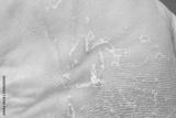 preview bw