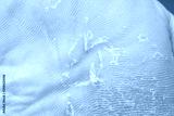 preview cold
