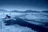 preview cold