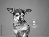 preview bw