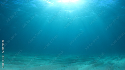 image to crop