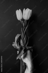 preview bw
