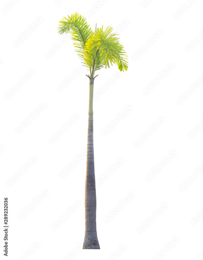 image to crop
