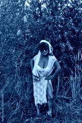 preview cold