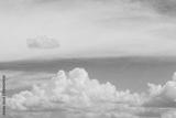 preview bw
