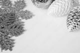 preview bw