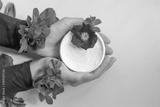 preview bw
