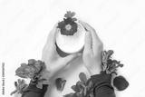 preview bw