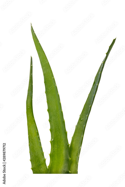 image to crop