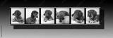 preview bw