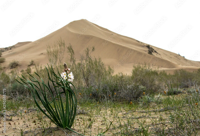image to crop