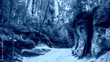 preview cold