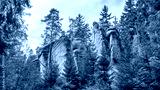 preview cold
