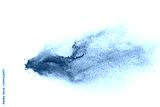 preview cold