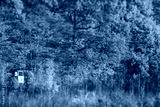 preview cold