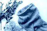 preview cold