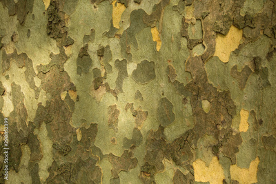 image to crop