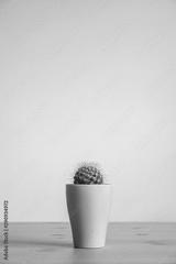 preview bw