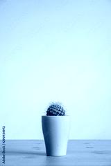 preview cold