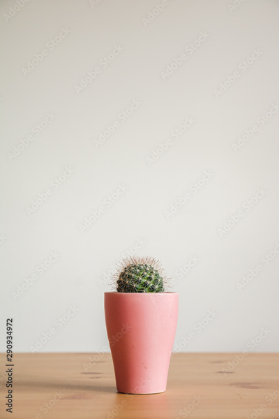 image to crop