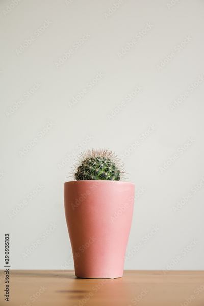 image to crop
