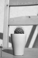 preview bw