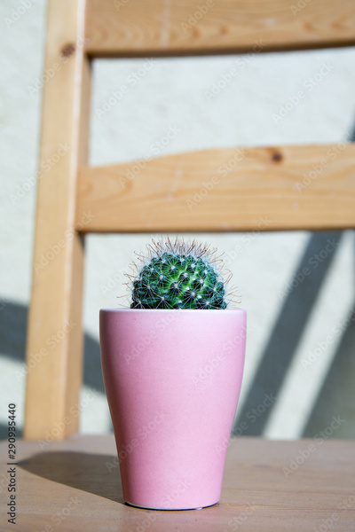 image to crop