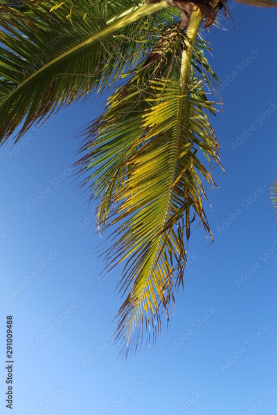 image to crop