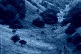 preview cold