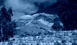 preview cold