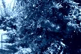 preview cold