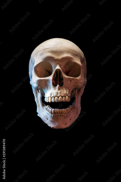 image to crop