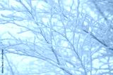preview cold