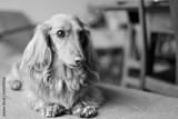 preview bw