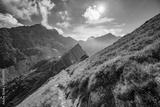 preview bw