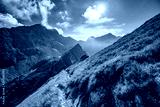 preview cold