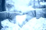 preview cold