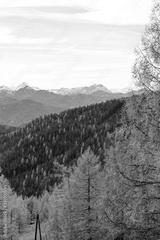 preview bw