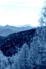 preview cold