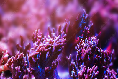 image to crop