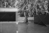 preview bw
