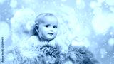 preview cold