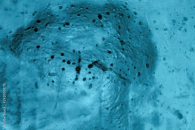 image to crop